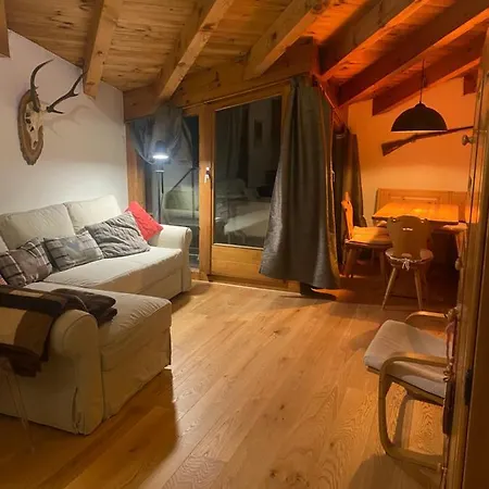 公寓 Flims Chalet 弗利姆斯