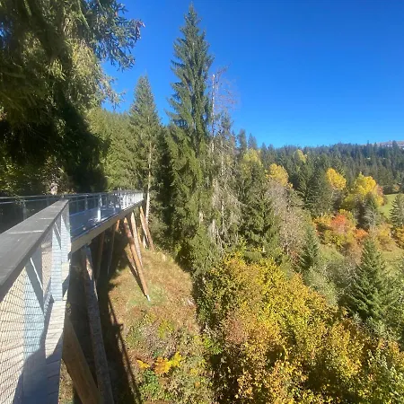 Διαμέρισμα Flims Chalet *