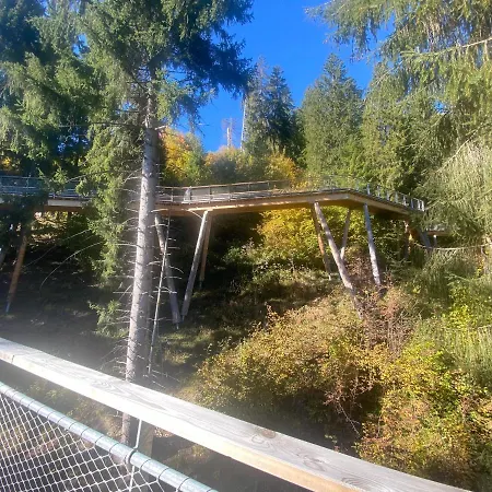 Apartment Flims Chalet