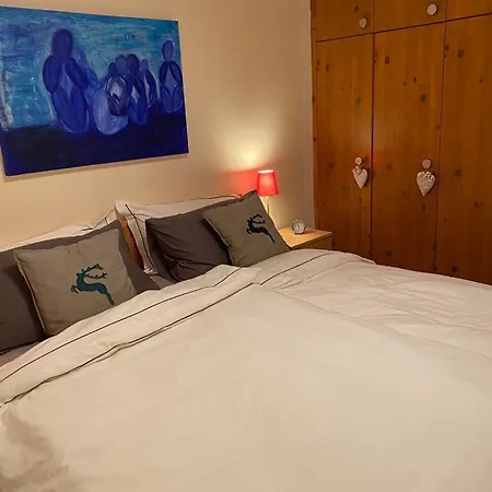 Flims Chalet 公寓 弗利姆斯