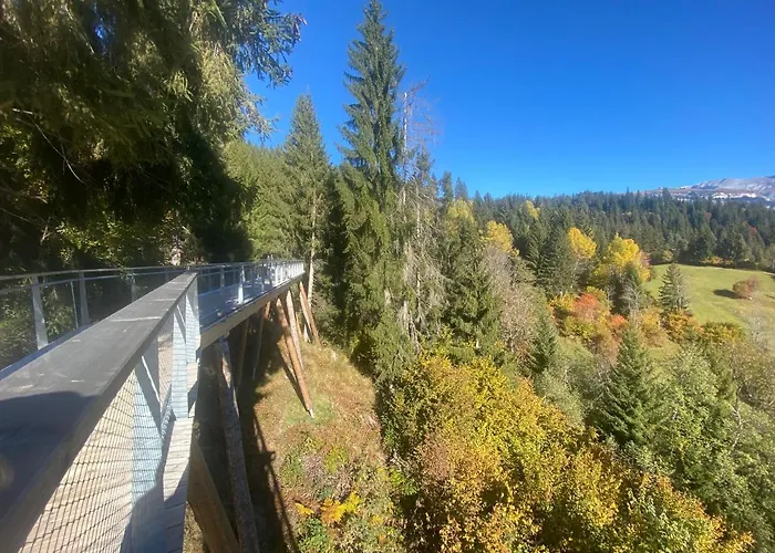 Appartement Flims Chalet *