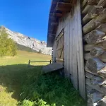 Flims Chalet Apartment Flims