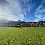 Flims Chalet Apartment