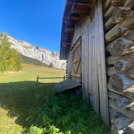 Flims Chalet 아파트 필름