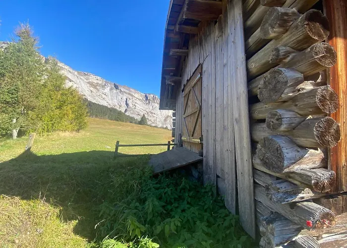 Flims Chalet Apartament Flims